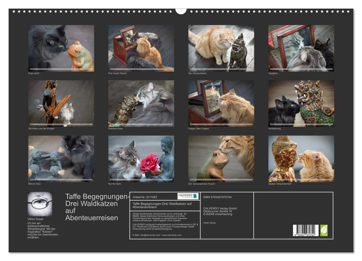 Bild: 9783457970744 | Taffe Begegnungen-Drei Waldkatzen auf Abenteuerreisen (Wandkalender...