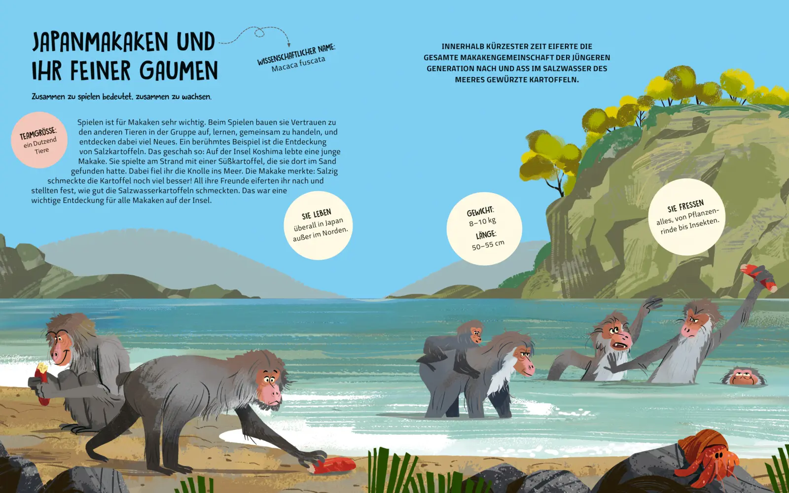 Rückseite: 9783734860744 | Teamwork im Tierreich | Tecnoscienza | Buch | 64 S. | Deutsch | 2025