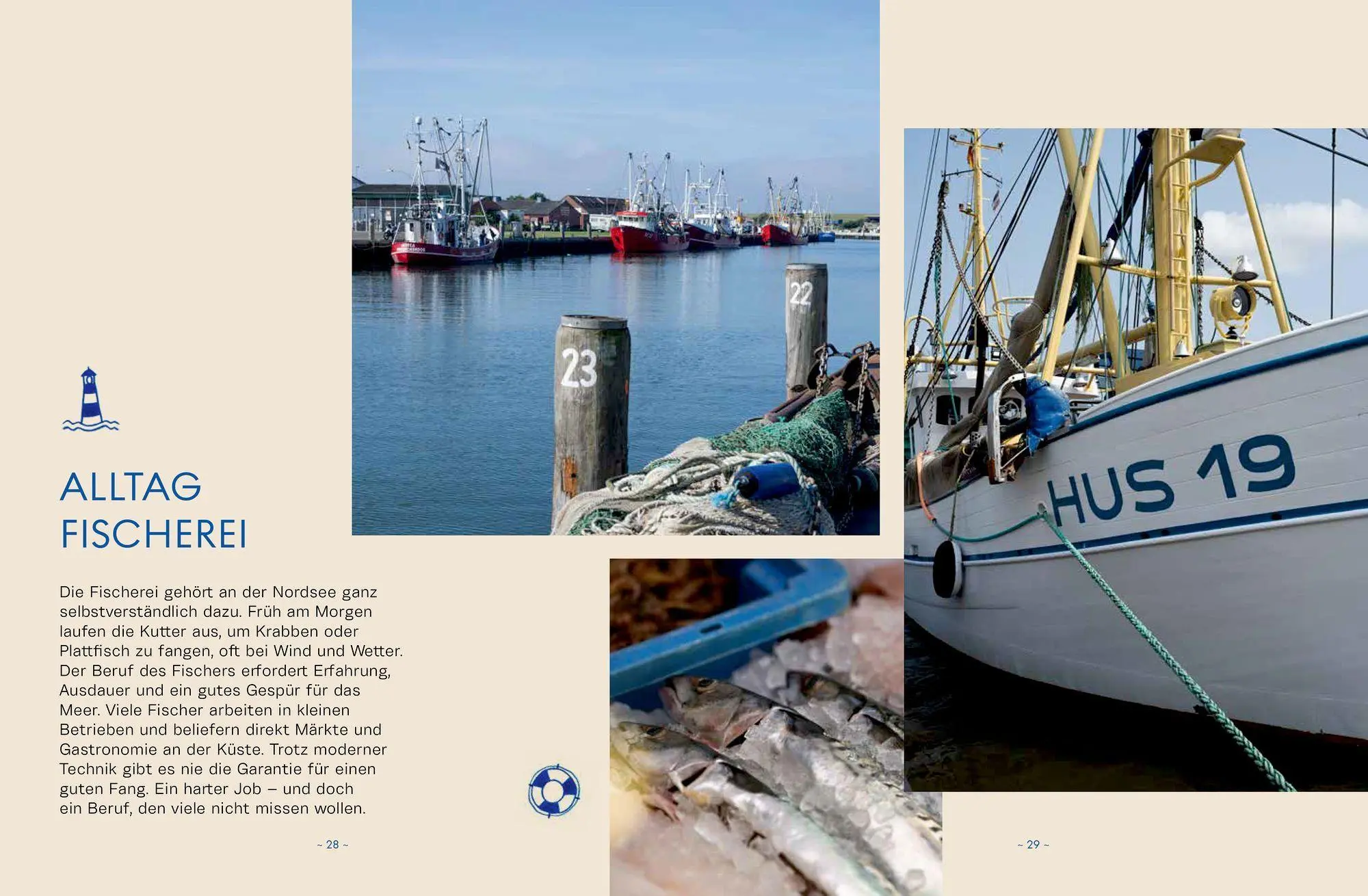 Bild: 9783756710744 | Moin | Rezepte und Geschichten von der Nordseeküste | Buch | 112 S.