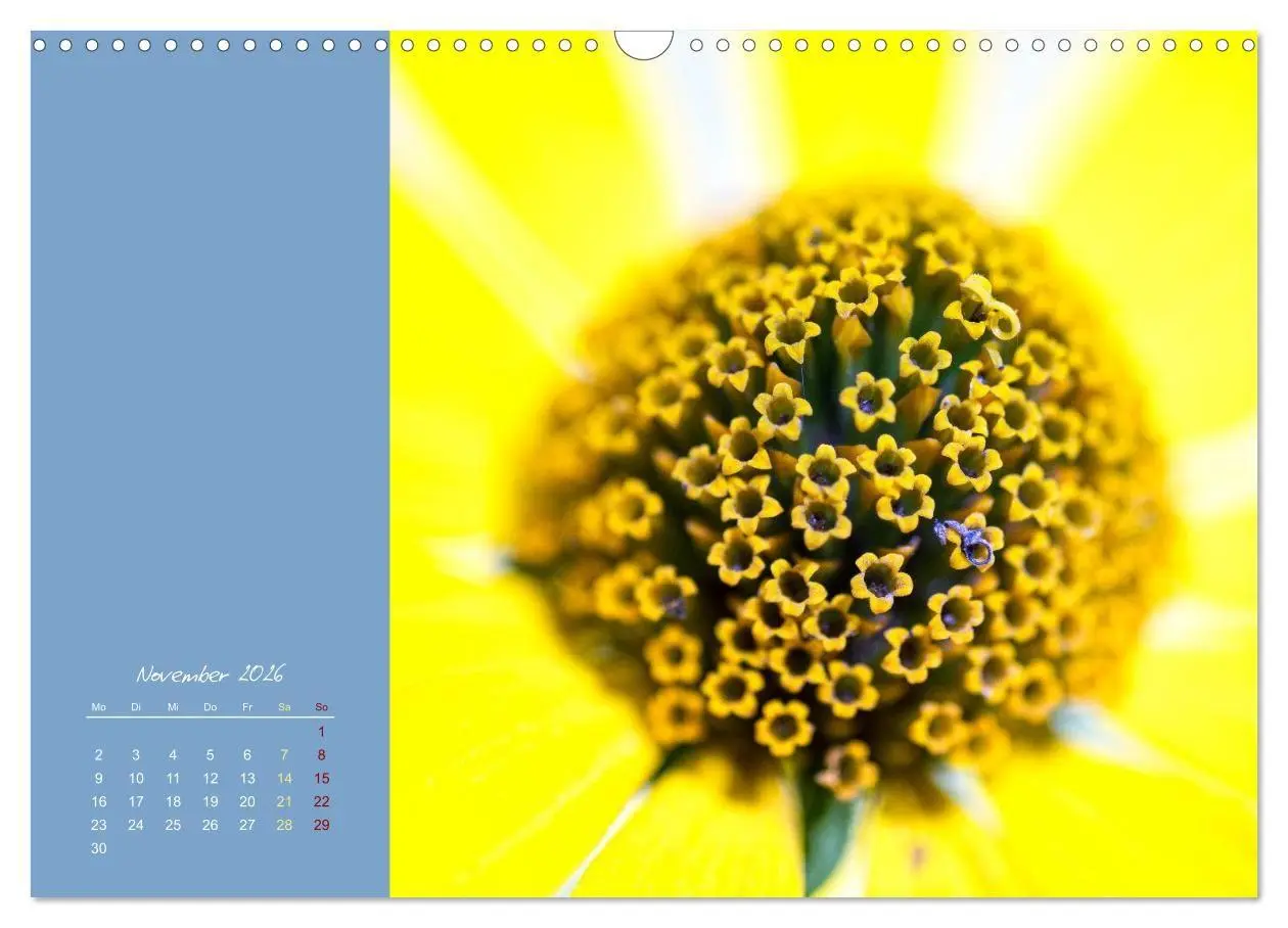 Bild: 9783516670844 | Blütenstil (Wandkalender 2026 DIN A3 quer), CALVENDO Monatskalender