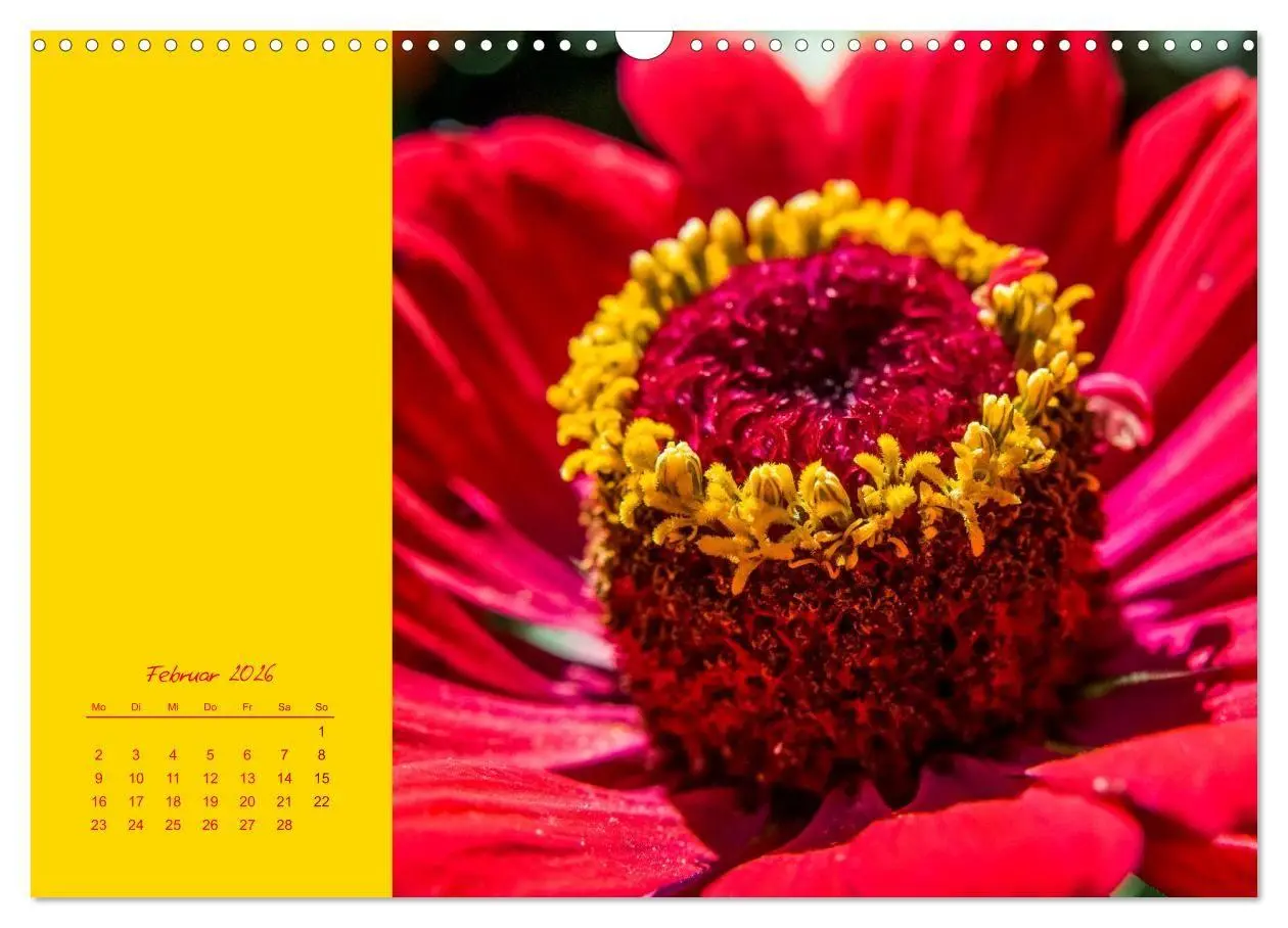 Bild: 9783516670844 | Blütenstil (Wandkalender 2026 DIN A3 quer), CALVENDO Monatskalender