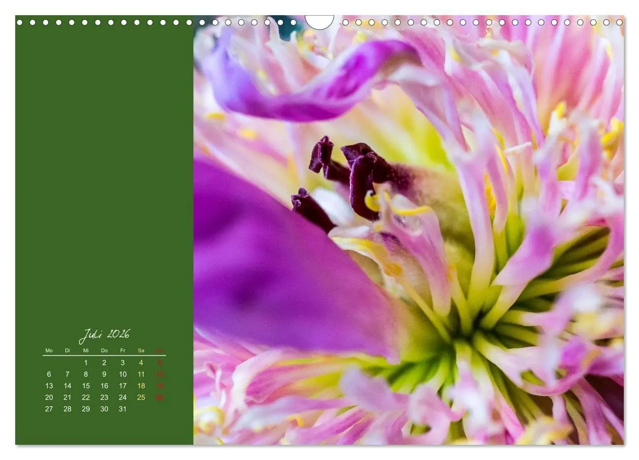 Bild: 9783516670844 | Blütenstil (Wandkalender 2026 DIN A3 quer), CALVENDO Monatskalender