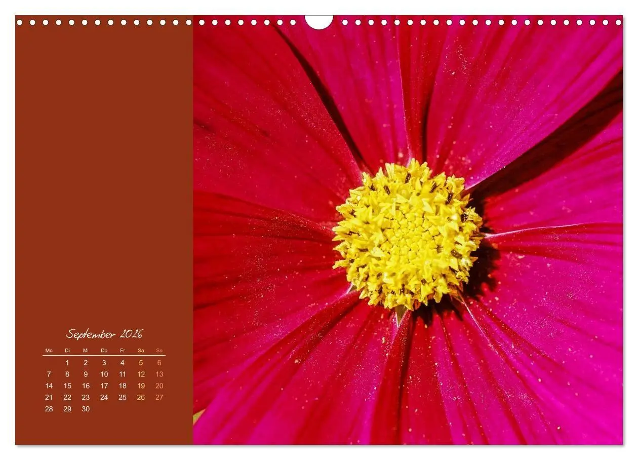 Bild: 9783516670844 | Blütenstil (Wandkalender 2026 DIN A3 quer), CALVENDO Monatskalender