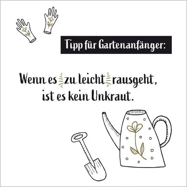 Bild: 9783819300844 | Visual Words 2027 | Verlag Korsch | Kalender | 13 S. | Deutsch | 2027