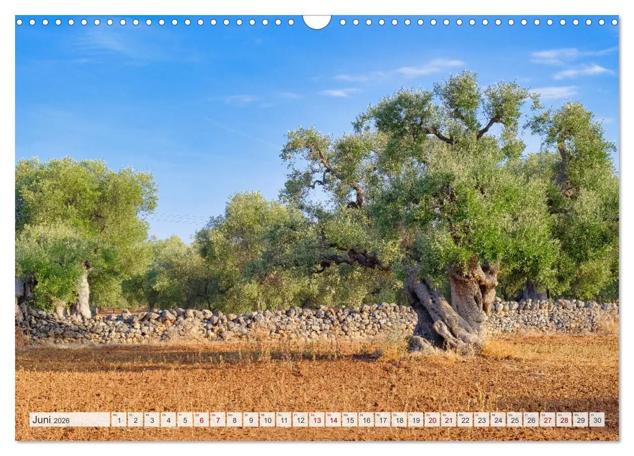 Bild: 9783457330944 | Faszinierendes Apulien (Wandkalender 2026 DIN A3 quer), CALVENDO...