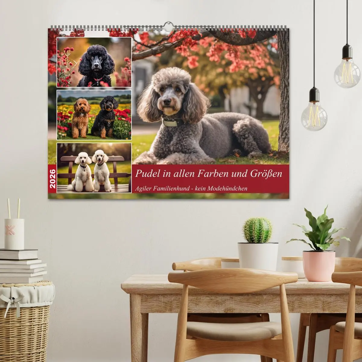 Bild: 9783457400944 | Pudel in allen Farben und Größen (Wandkalender 2026 DIN A2 quer),...