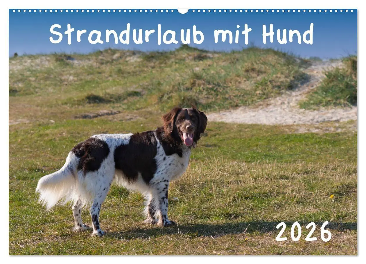 Cover: 9783457640944 | Strandurlaub mit Hund (Wandkalender 2026 DIN A2 quer), CALVENDO...