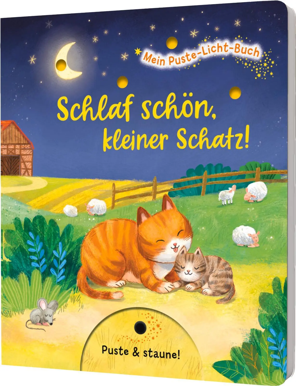 Cover: 9783480240944 | Mein Puste-Licht-Buch: Schlaf schön, kleiner Schatz! | Ottenschläger