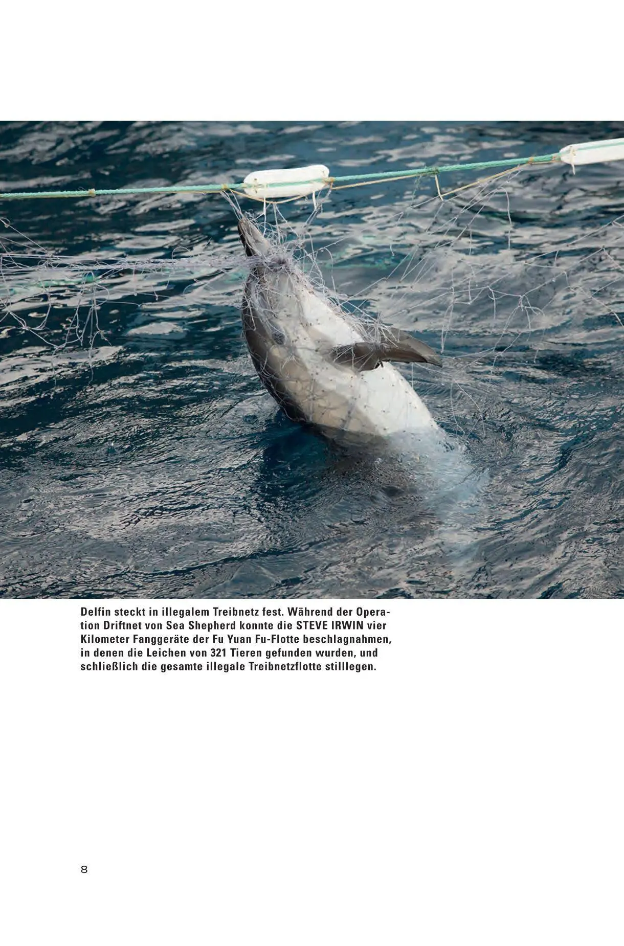 Bild: 9783945400944 | Captain Paul Watson Interview | Sarah Schuster (u. a.) | Buch | 176 S.