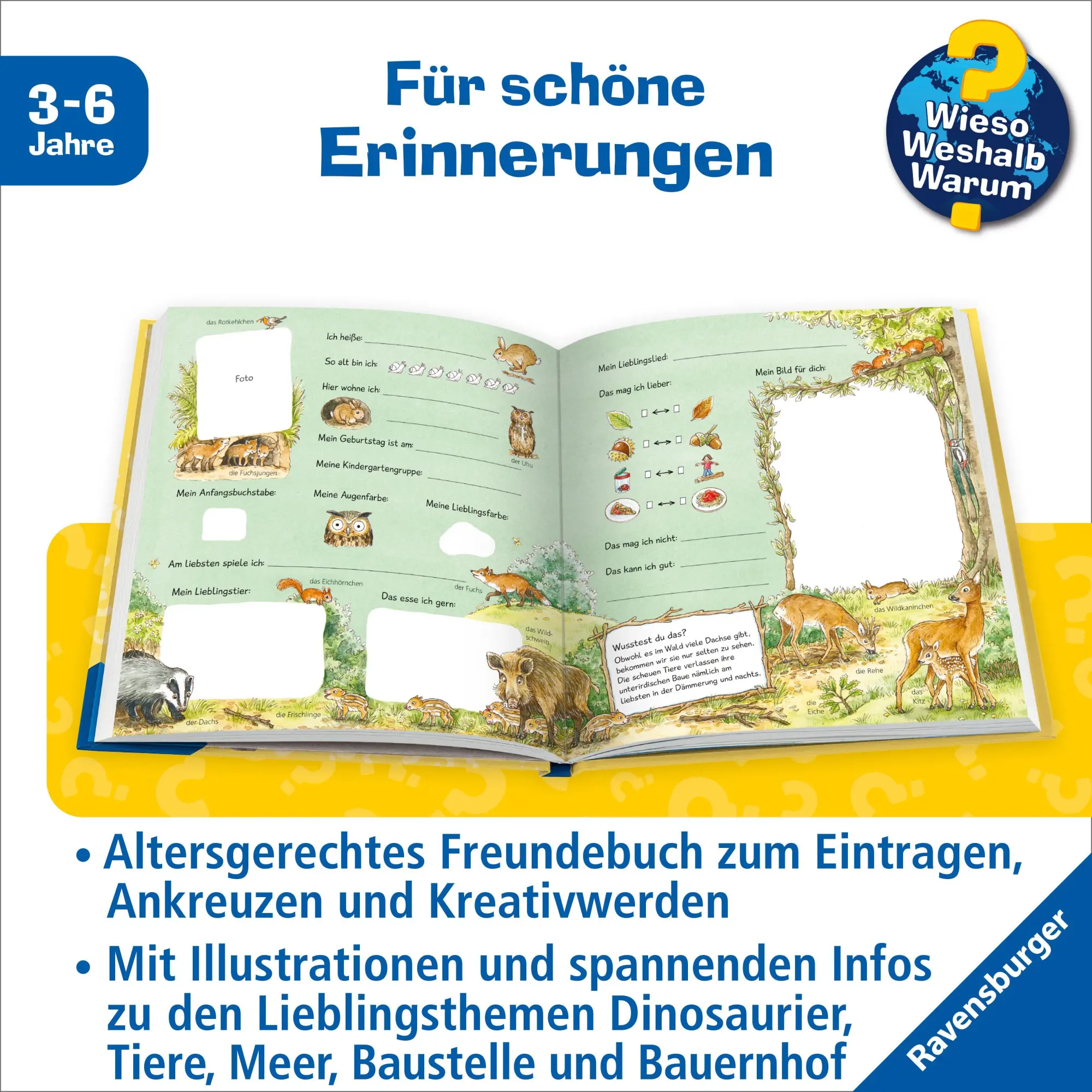 Bild: 4049817601044 | Wieso? Weshalb? Warum? - Meine Kindergarten-Freunde | Kessel | Buch