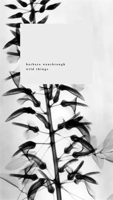 Cover: 9781967751044 | Wild Things | A Geography of Grief | Barbara Wansbrough | Taschenbuch