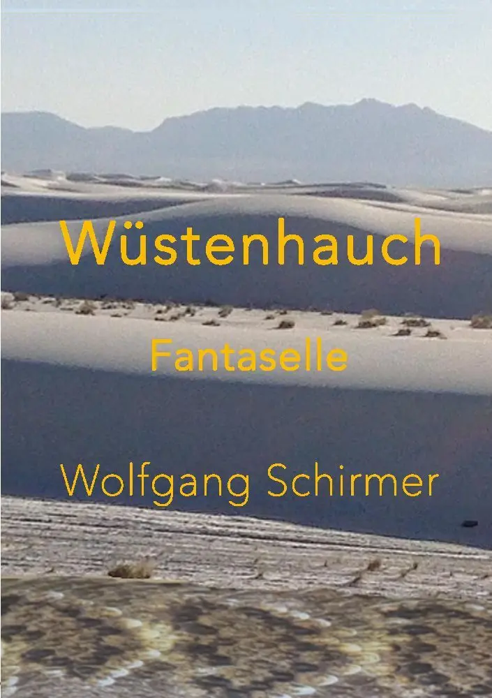 Cover: 9783347881044 | Wüstenhauch | Schicksalhafte Begegnungen in der Wüste Nordamerikas. DE