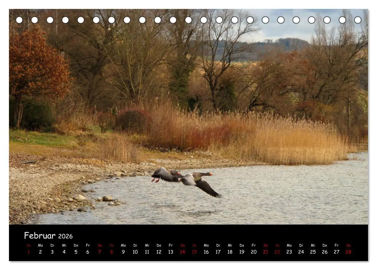Bild: 9783457771044 | Traumhaft schöner Bodensee (Tischkalender 2026 DIN A5 quer),...