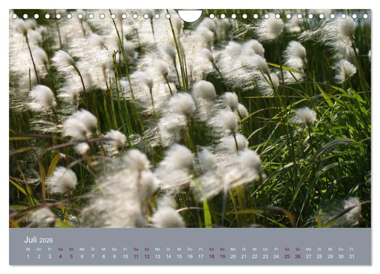 Bild: 9783457901144 | Kamtschatka - Vulkane, Asche, Eis (Wandkalender 2026 DIN A4 quer),...