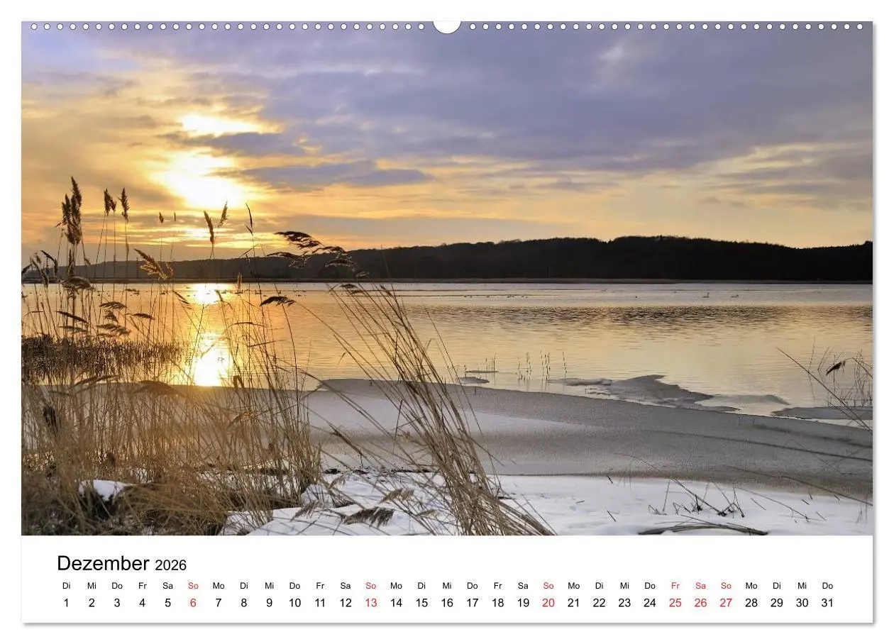 Bild: 9783516231144 | Insel Rügen (Wandkalender 2026 DIN A2 quer), CALVENDO Monatskalender