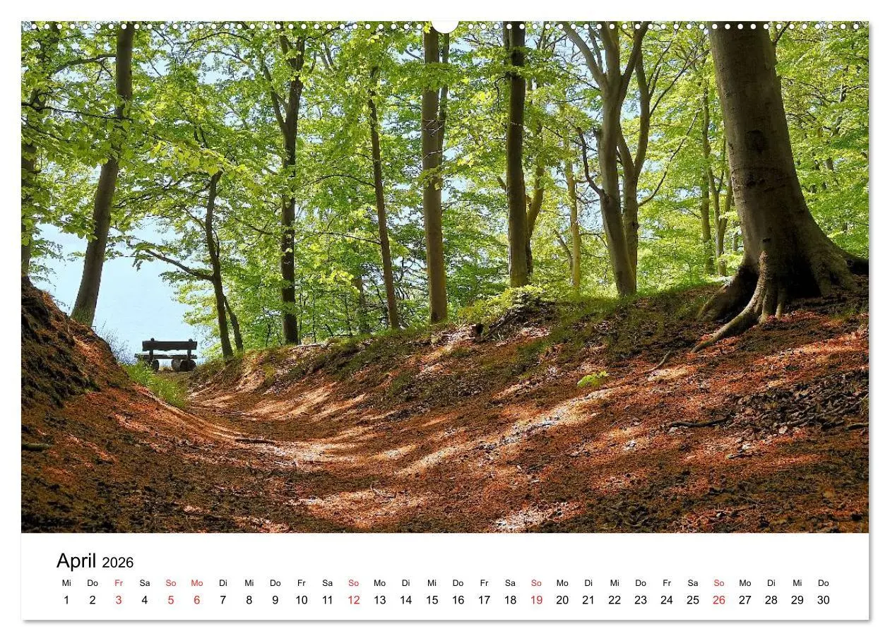 Bild: 9783516231144 | Insel Rügen (Wandkalender 2026 DIN A2 quer), CALVENDO Monatskalender