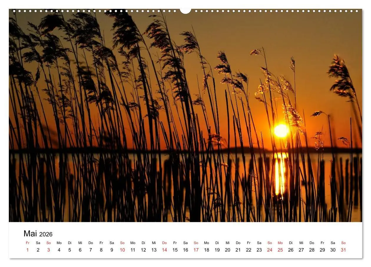 Bild: 9783516231144 | Insel Rügen (Wandkalender 2026 DIN A2 quer), CALVENDO Monatskalender