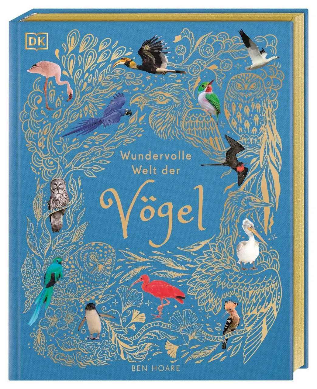 Cover: 9783831051144 | Wundervolle Welt der Vögel | Ben Hoare | Buch | Wundervolle Welt