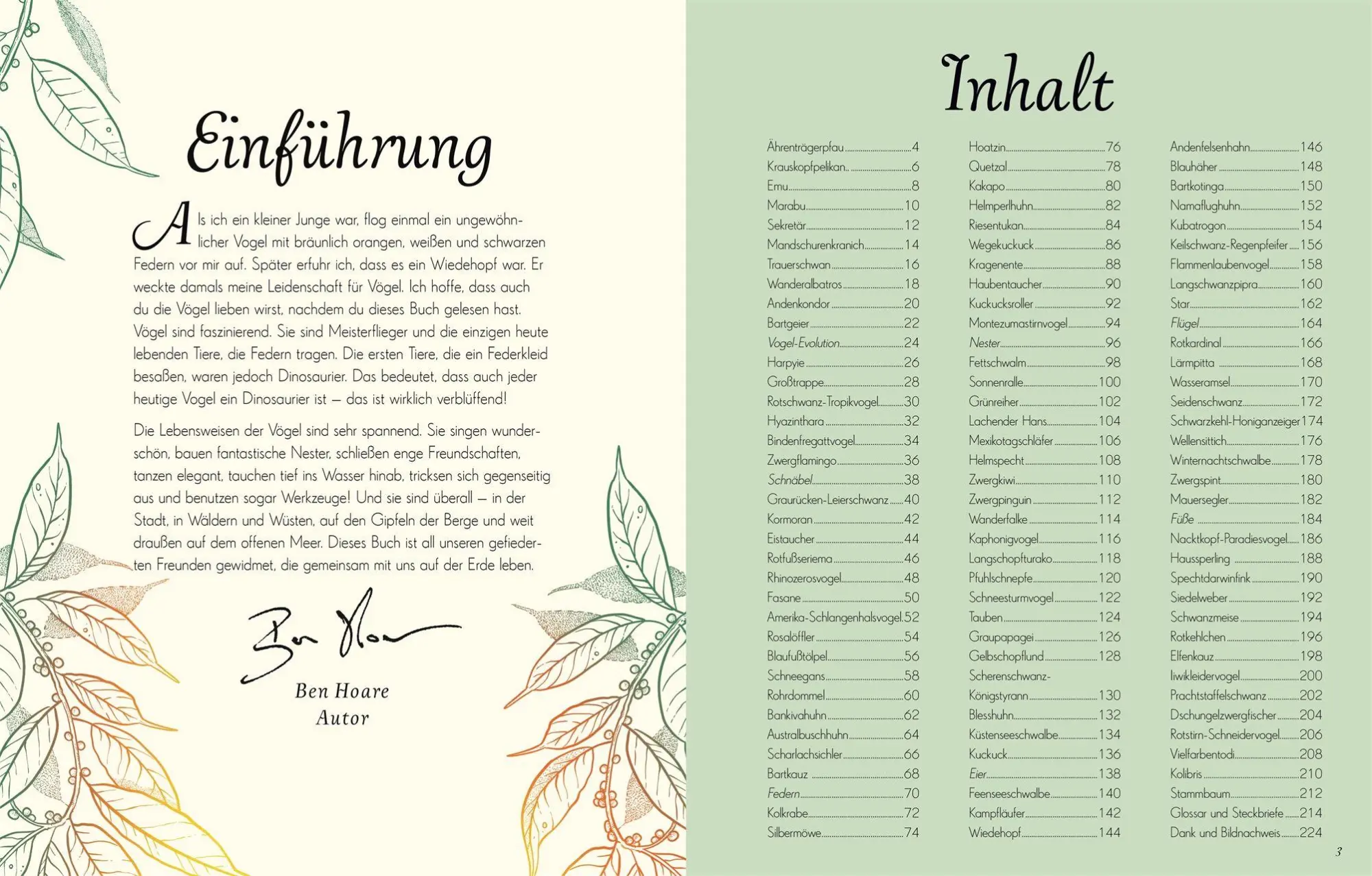 Bild: 9783831051144 | Wundervolle Welt der Vögel | Ben Hoare | Buch | Wundervolle Welt