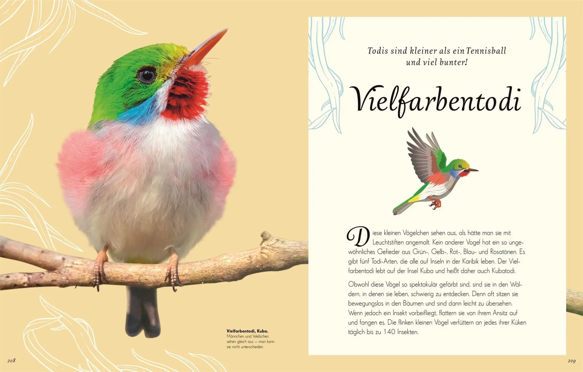 Bild: 9783831051144 | Wundervolle Welt der Vögel | Ben Hoare | Buch | Wundervolle Welt