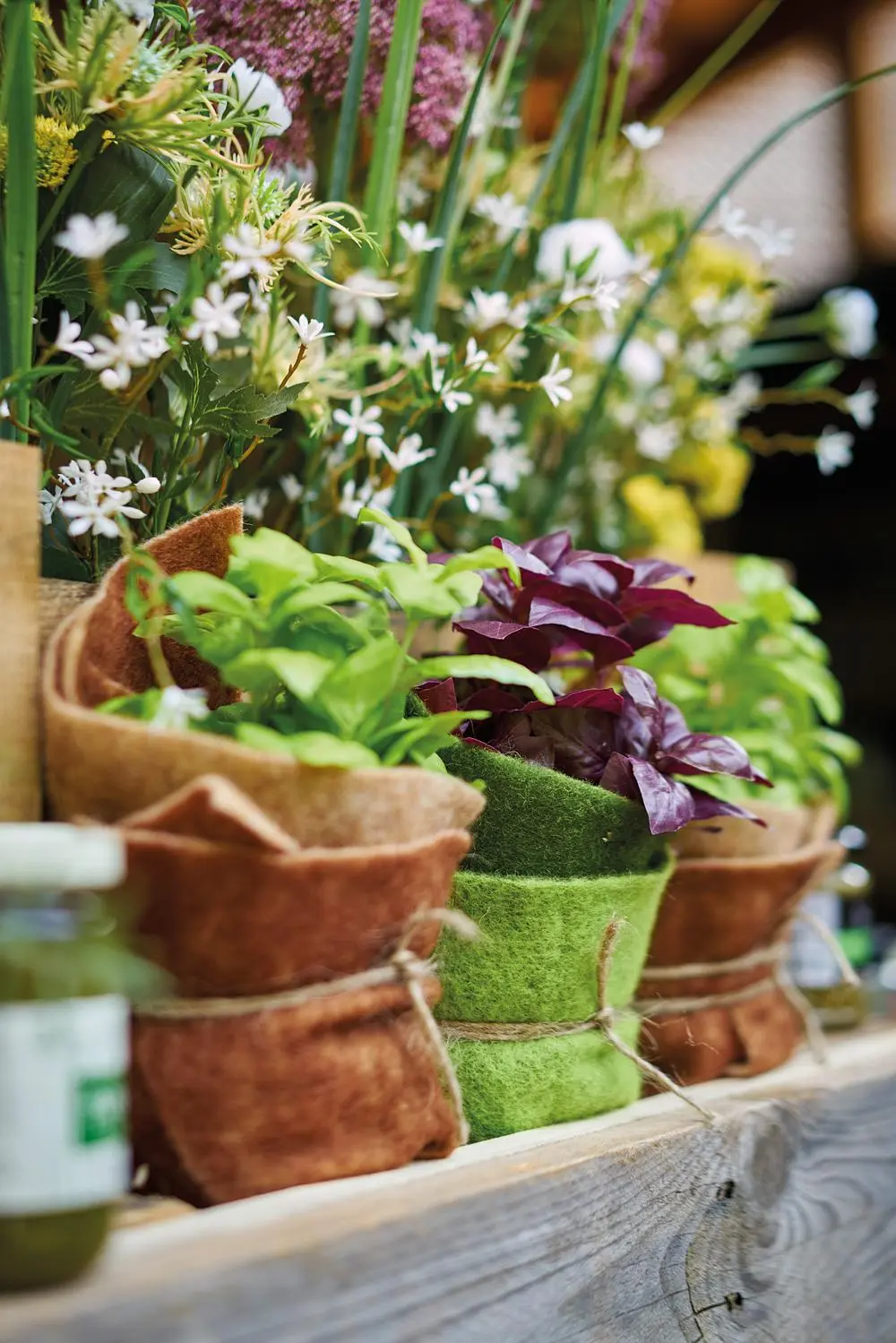 Bild: 9783965631144 | EVERGREEN SPACES | Dauerhaftes Floraldesign | Klaus Wagener (u. a.)