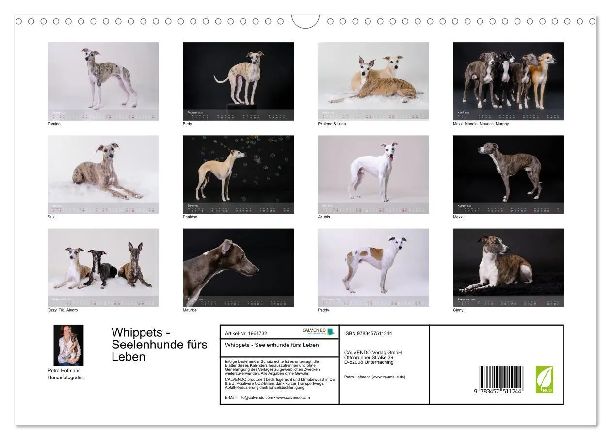 Bild: 9783457511244 | Whippets - Seelenhunde fürs Leben (Wandkalender 2026 DIN A3 quer),...