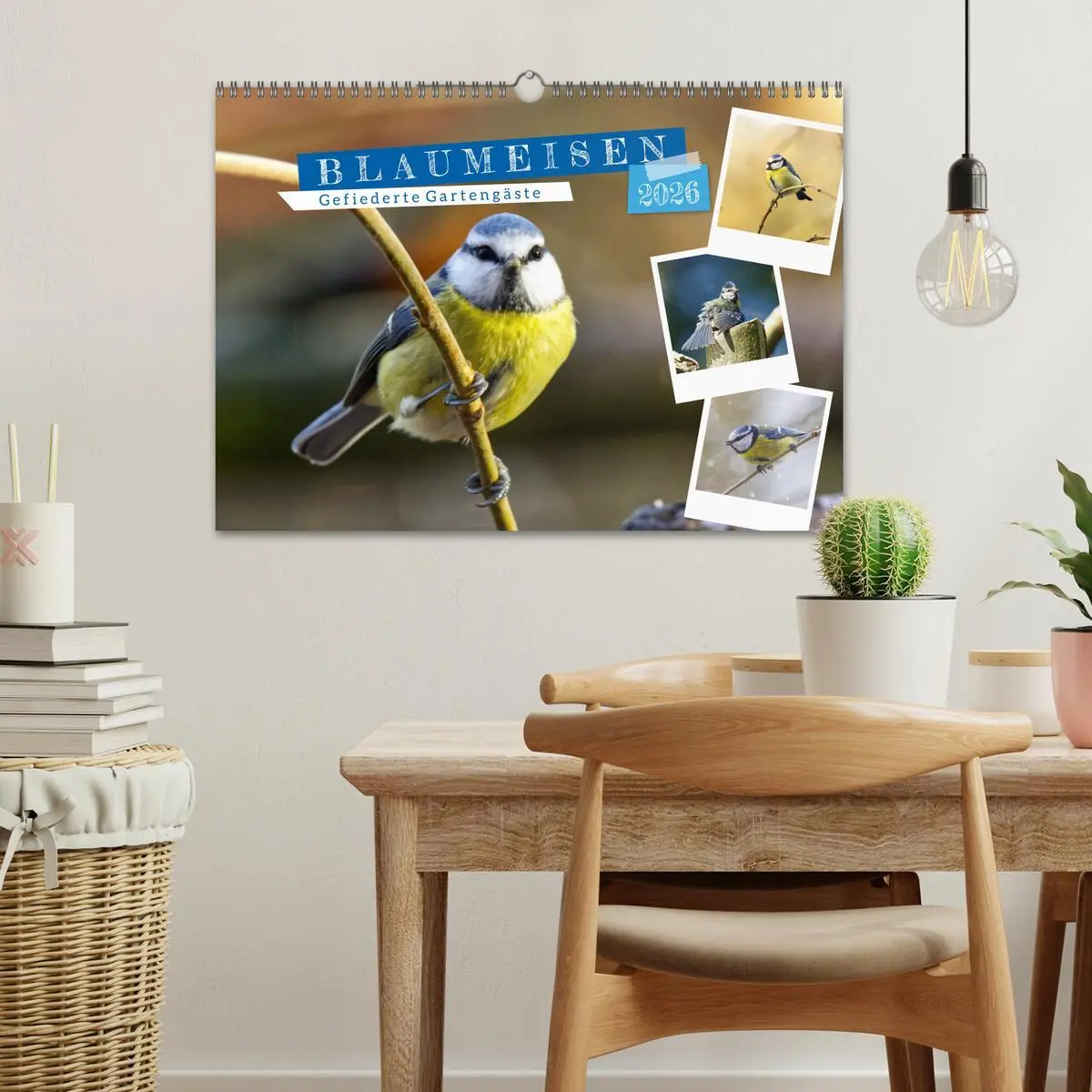Bild: 9783457821244 | Gefiederte Gartengäste, Blaumeisen (Wandkalender 2026 DIN A3 quer),...