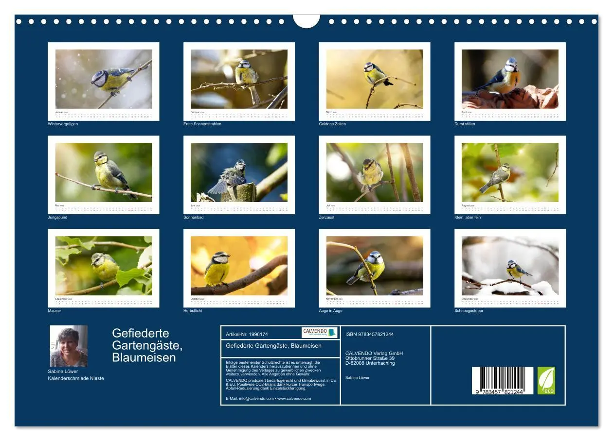 Bild: 9783457821244 | Gefiederte Gartengäste, Blaumeisen (Wandkalender 2026 DIN A3 quer),...