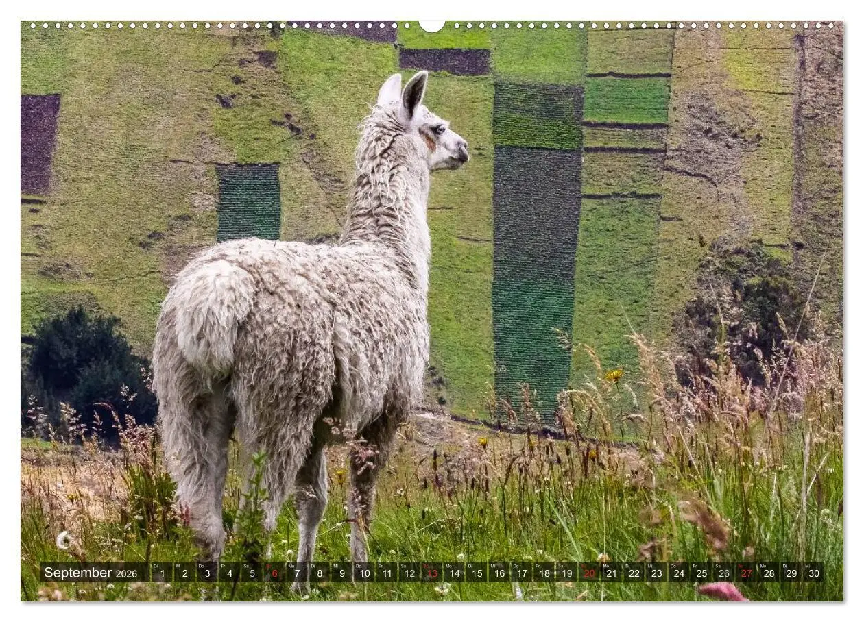 Bild: 9783516081244 | Ecuador 2026 Zwischen Hochland und Küste (Wandkalender 2026 DIN A2...