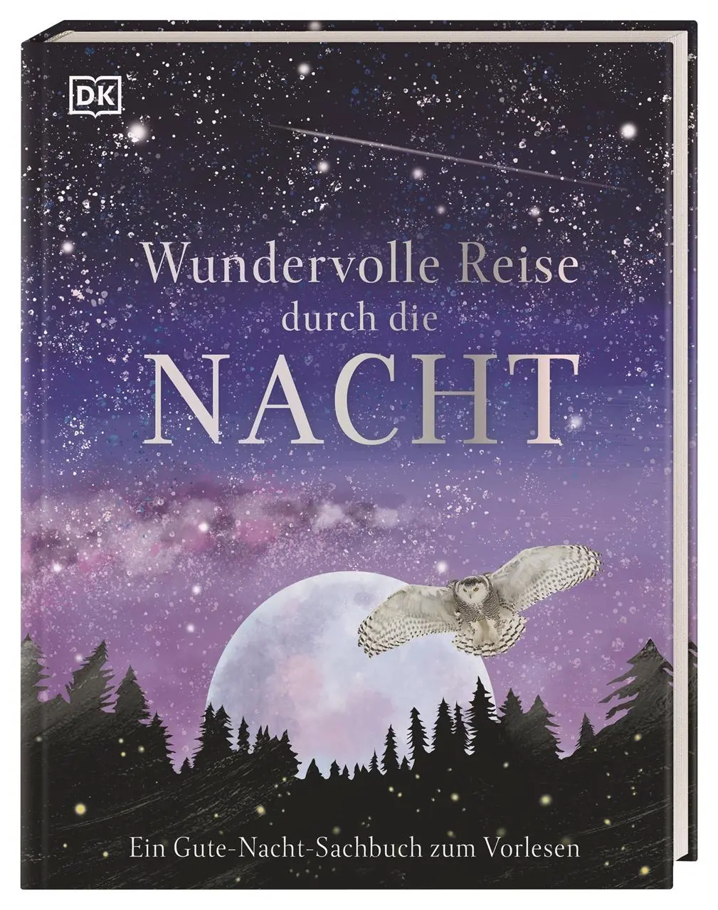 Cover: 9783831041244 | Wundervolle Reise durch die Nacht | DK Verlag - Kids | Buch | 60 S.