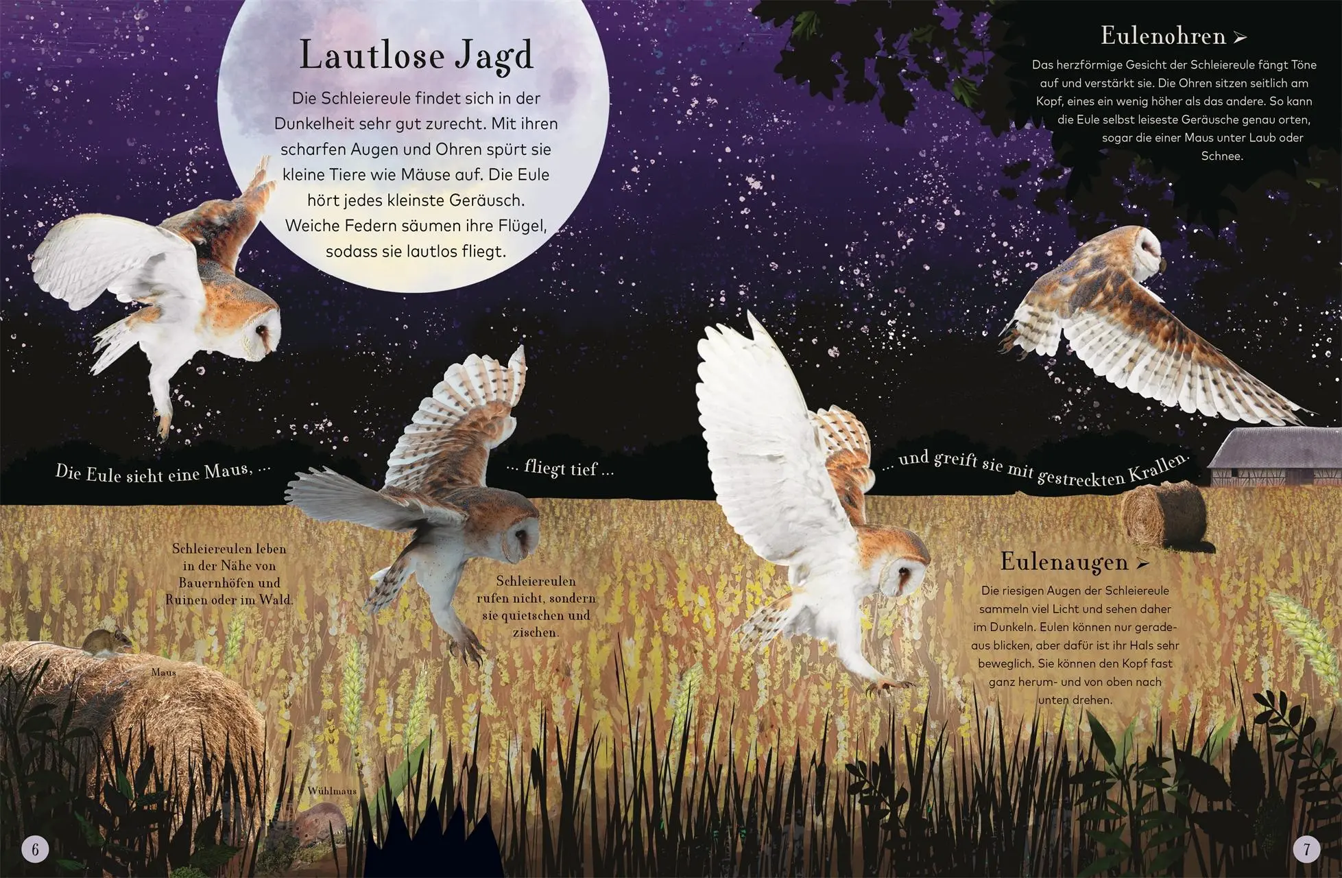 Bild: 9783831041244 | Wundervolle Reise durch die Nacht | DK Verlag - Kids | Buch | 60 S.