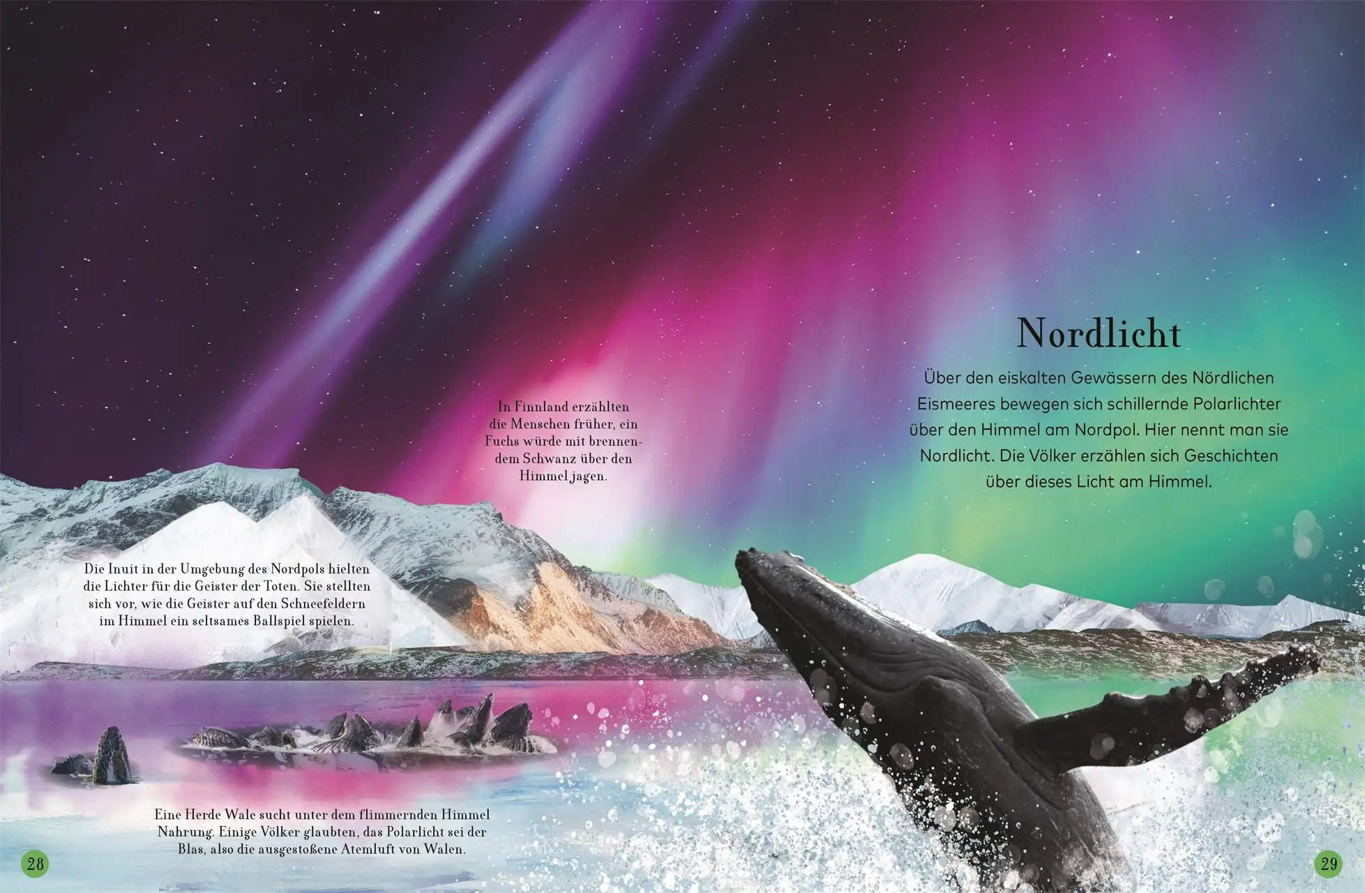 Bild: 9783831041244 | Wundervolle Reise durch die Nacht | DK Verlag - Kids | Buch | 60 S.
