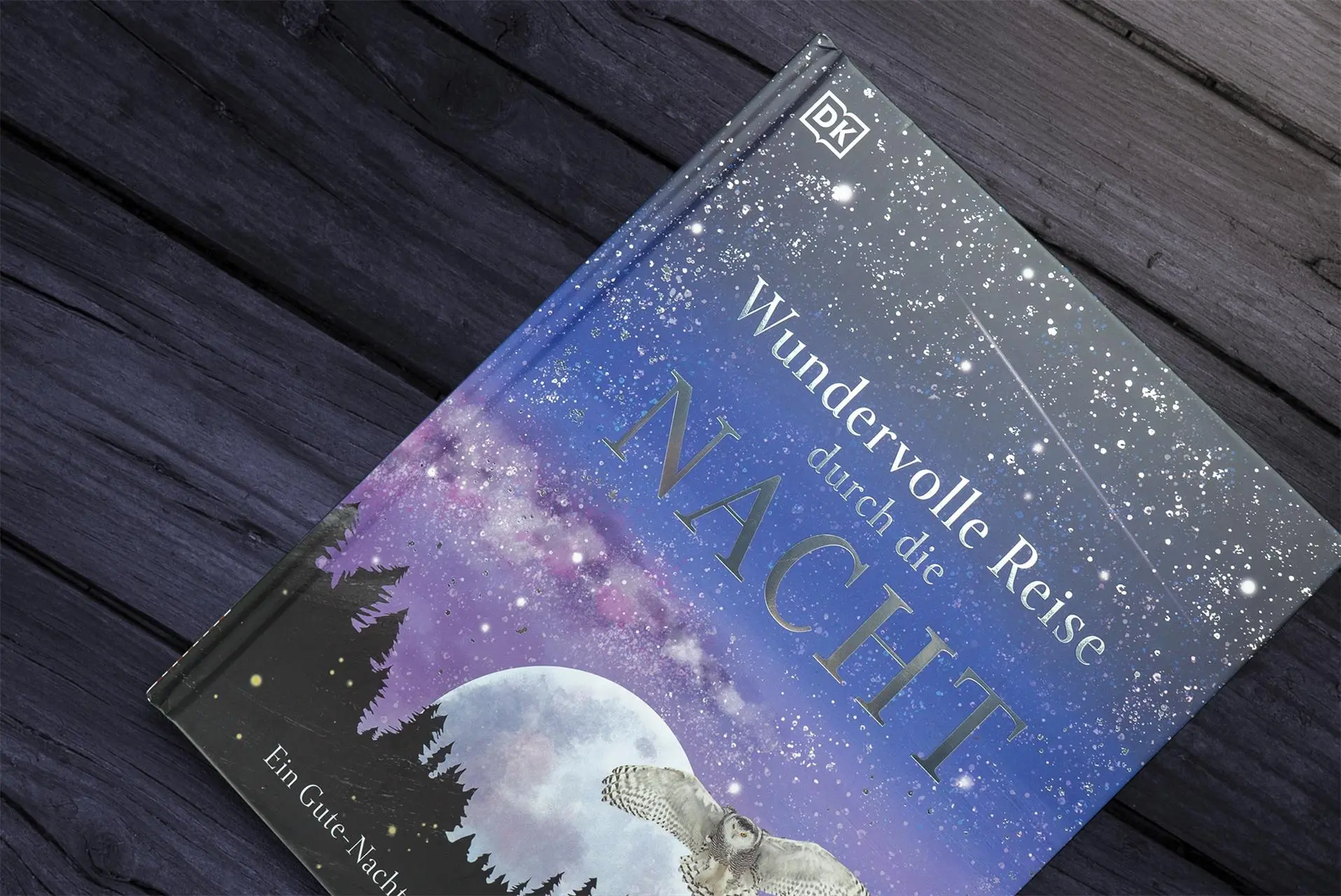 Bild: 9783831041244 | Wundervolle Reise durch die Nacht | DK Verlag - Kids | Buch | 60 S.