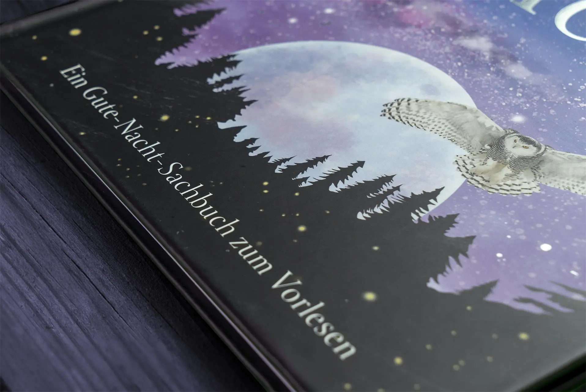 Bild: 9783831041244 | Wundervolle Reise durch die Nacht | DK Verlag - Kids | Buch | 60 S.