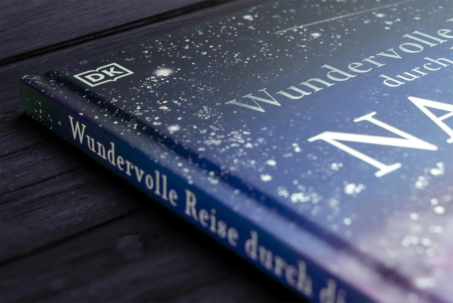 Bild: 9783831041244 | Wundervolle Reise durch die Nacht | DK Verlag - Kids | Buch | 60 S.