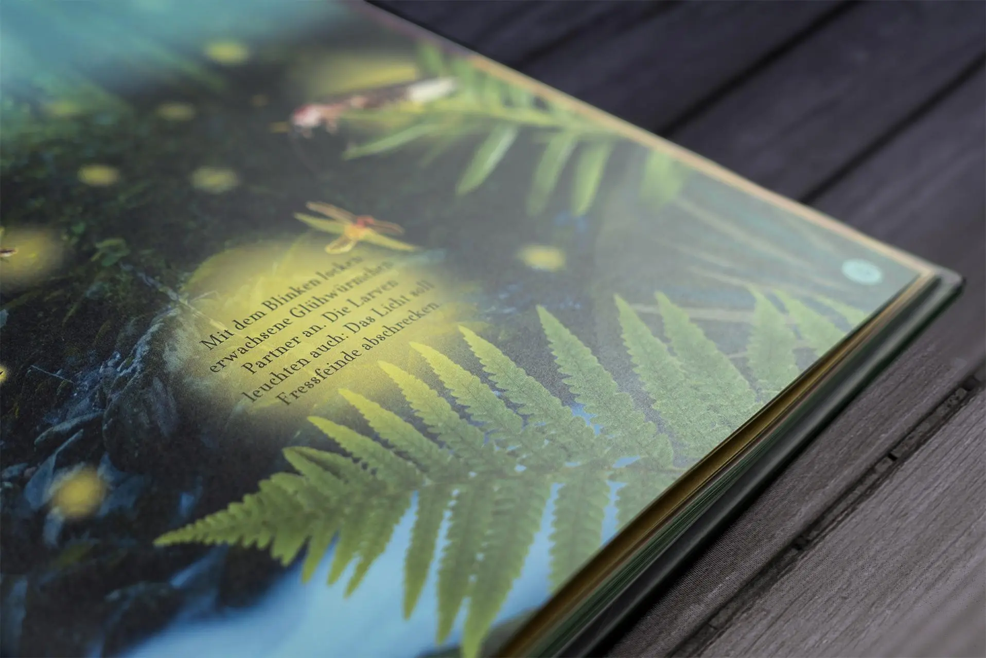 Bild: 9783831041244 | Wundervolle Reise durch die Nacht | DK Verlag - Kids | Buch | 60 S.
