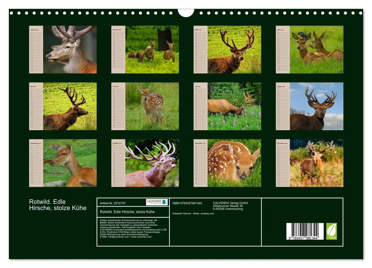 Bild: 9783457981344 | Rotwild. Edle Hirsche, stolze Kühe (Wandkalender 2026 DIN A3 quer),...