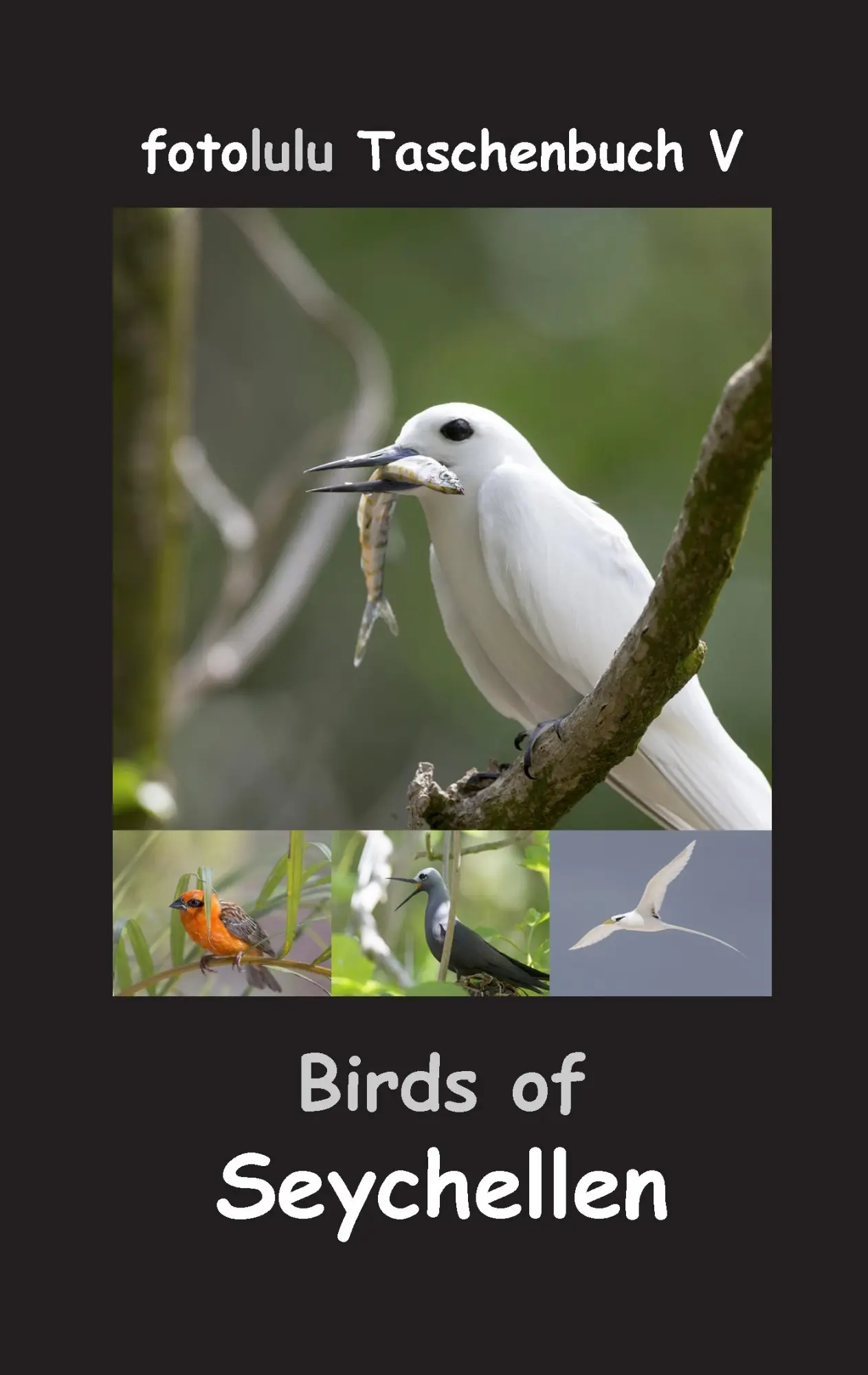 Cover: 9783743161344 | Birds of Seychellen | Fotolulu | Taschenbuch | 56 S. | Deutsch | 2017