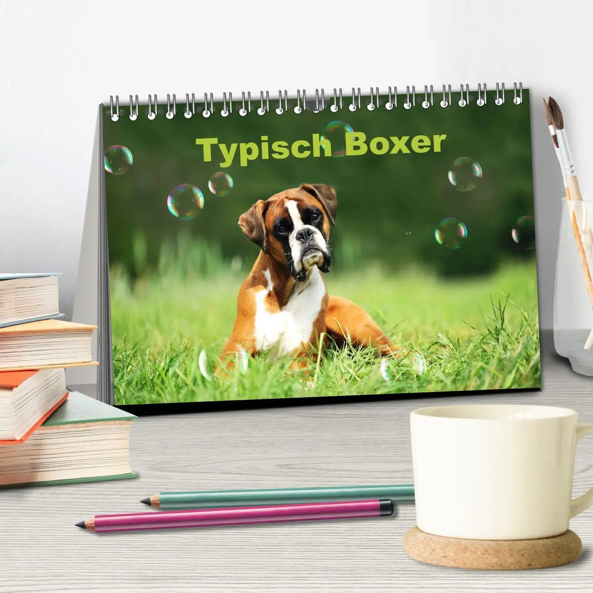 Bild: 9783457731444 | Typisch Boxer (Tischkalender 2026 DIN A5 quer), CALVENDO...