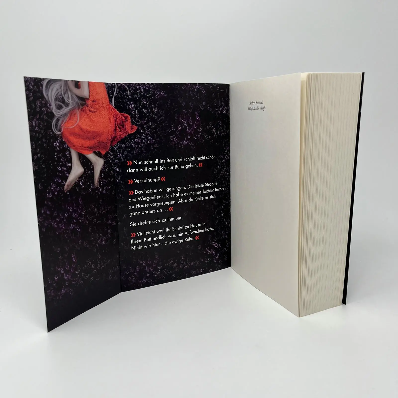 Bild: 9783864931444 | Schlaft, Kinder, schlaft | Anders Roslund | Taschenbuch | 480 S.