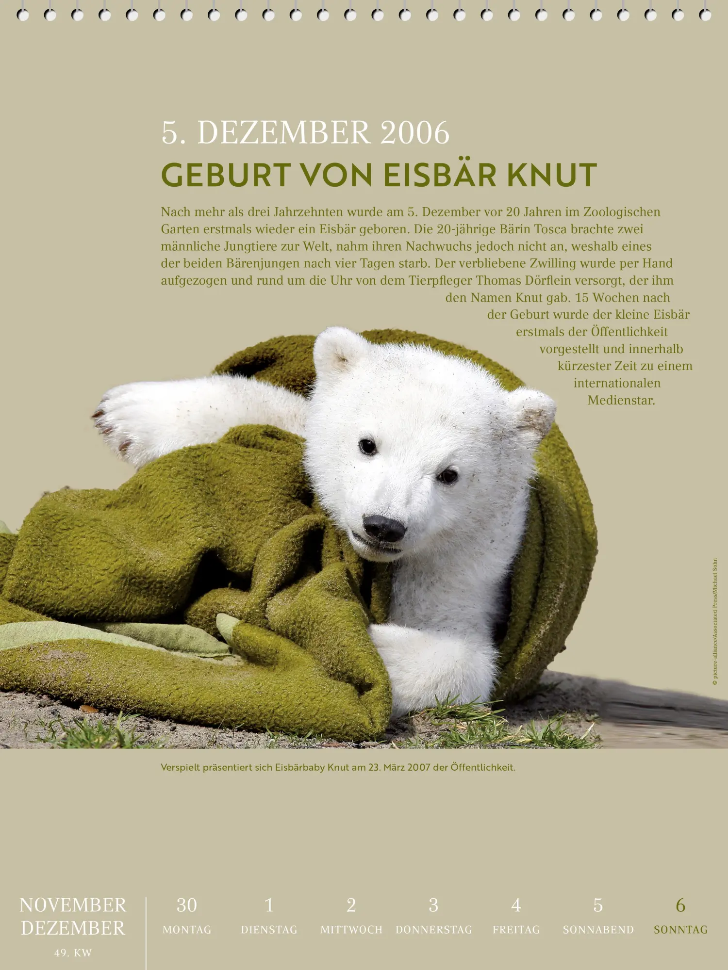 Bild: 9783962011444 | Berliner Geschichte - Kalender 2026 | Marc Lippuner | Kalender | 54 S.