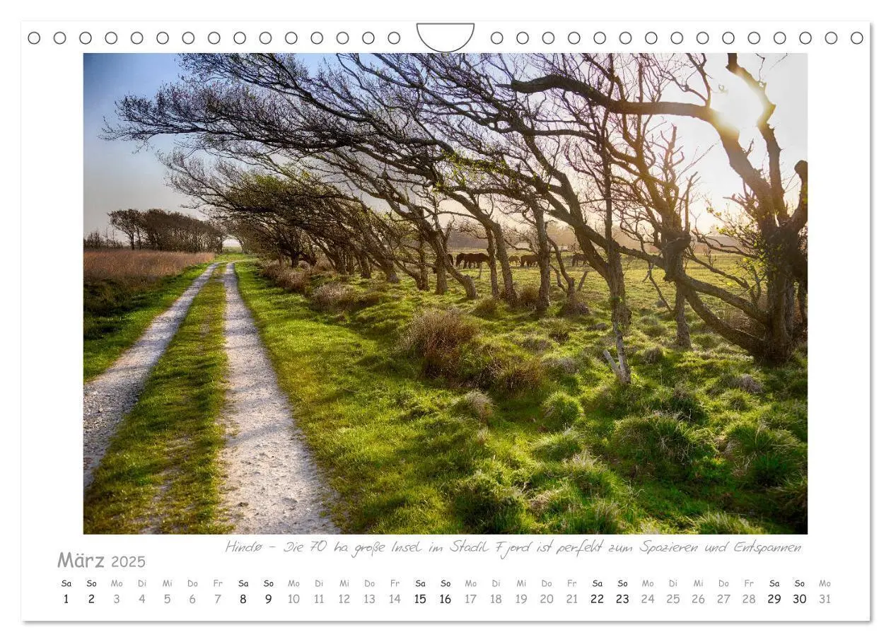 Bild: 9783435251544 | Sehnsucht Westjütland (Wandkalender 2025 DIN A4 quer), CALVENDO...