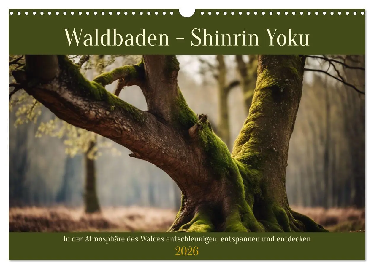 Cover: 9783457411544 | Waldbaden - Shinrin Yoku (Wandkalender 2026 DIN A3 quer), CALVENDO...