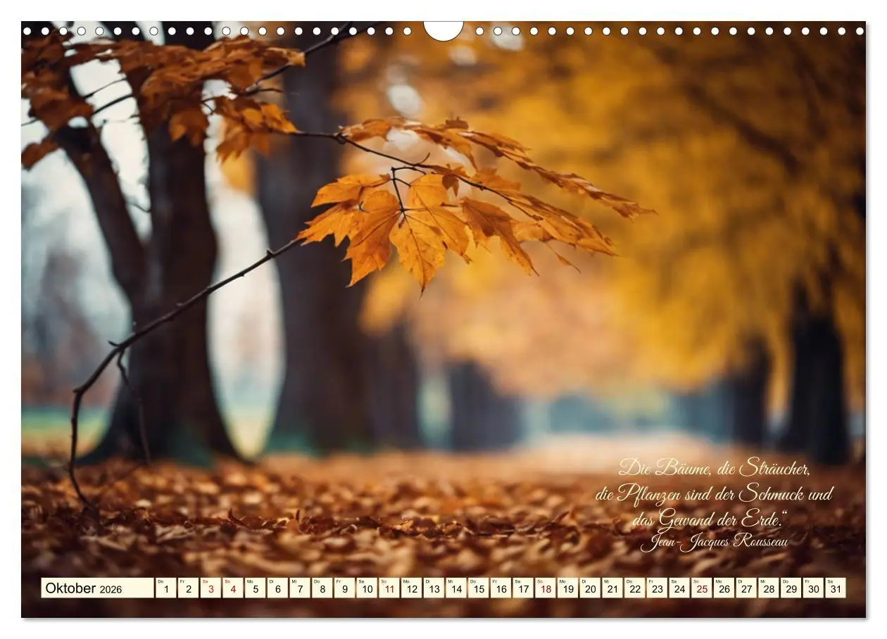 Bild: 9783457411544 | Waldbaden - Shinrin Yoku (Wandkalender 2026 DIN A3 quer), CALVENDO...