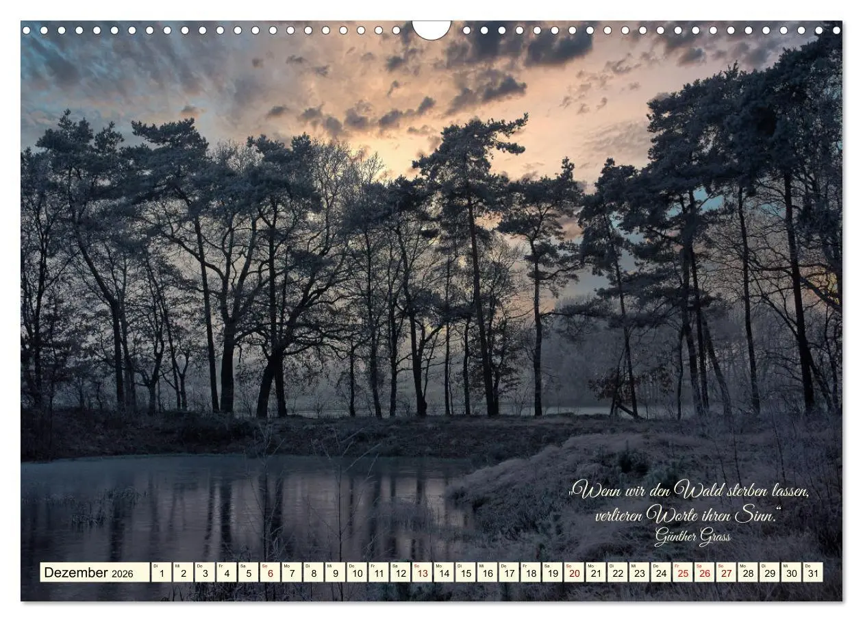 Bild: 9783457411544 | Waldbaden - Shinrin Yoku (Wandkalender 2026 DIN A3 quer), CALVENDO...