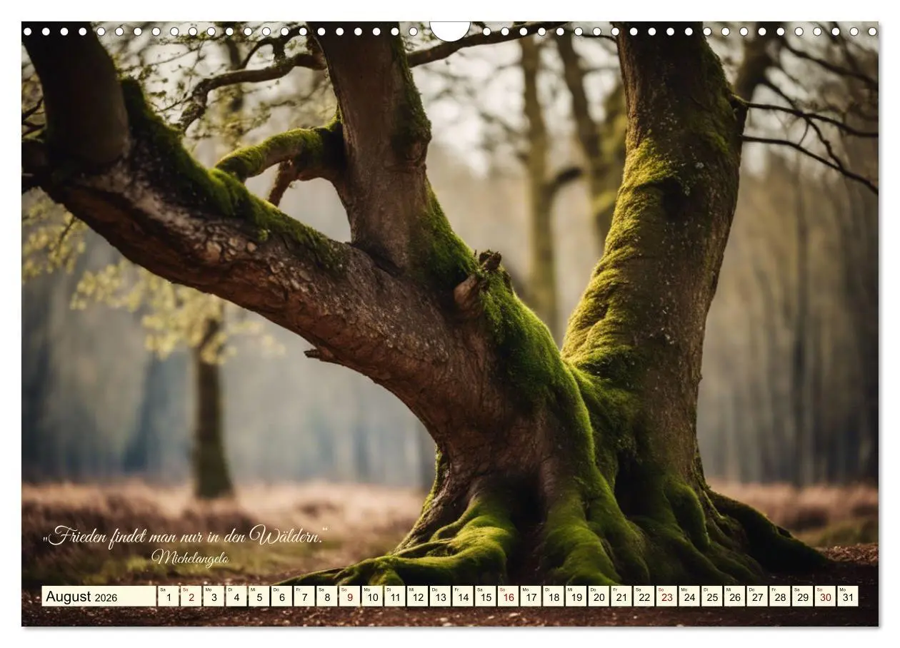 Bild: 9783457411544 | Waldbaden - Shinrin Yoku (Wandkalender 2026 DIN A3 quer), CALVENDO...