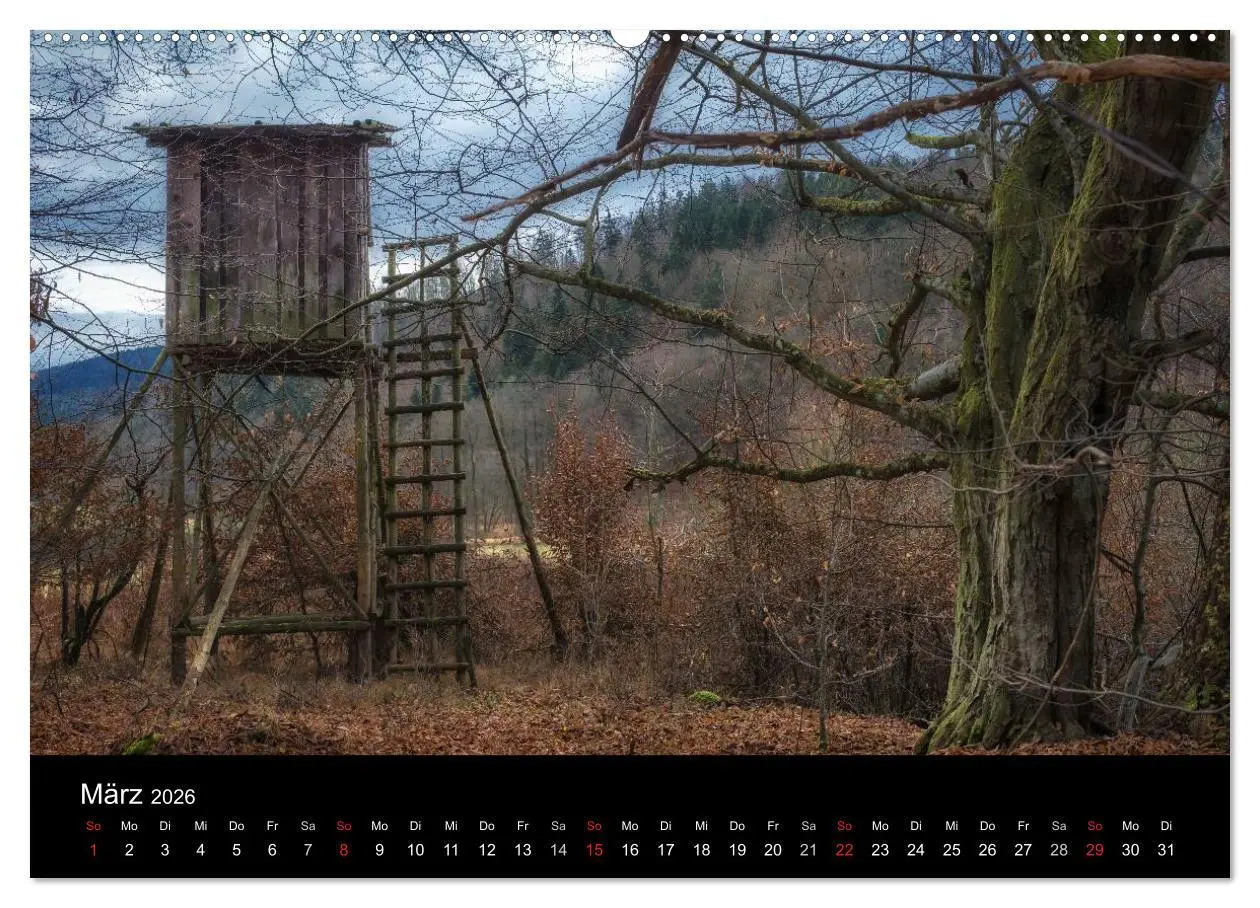Bild: 9783516121544 | Kanzelkalender 2026 (hochwertiger Premium Wandkalender 2026 DIN A2...