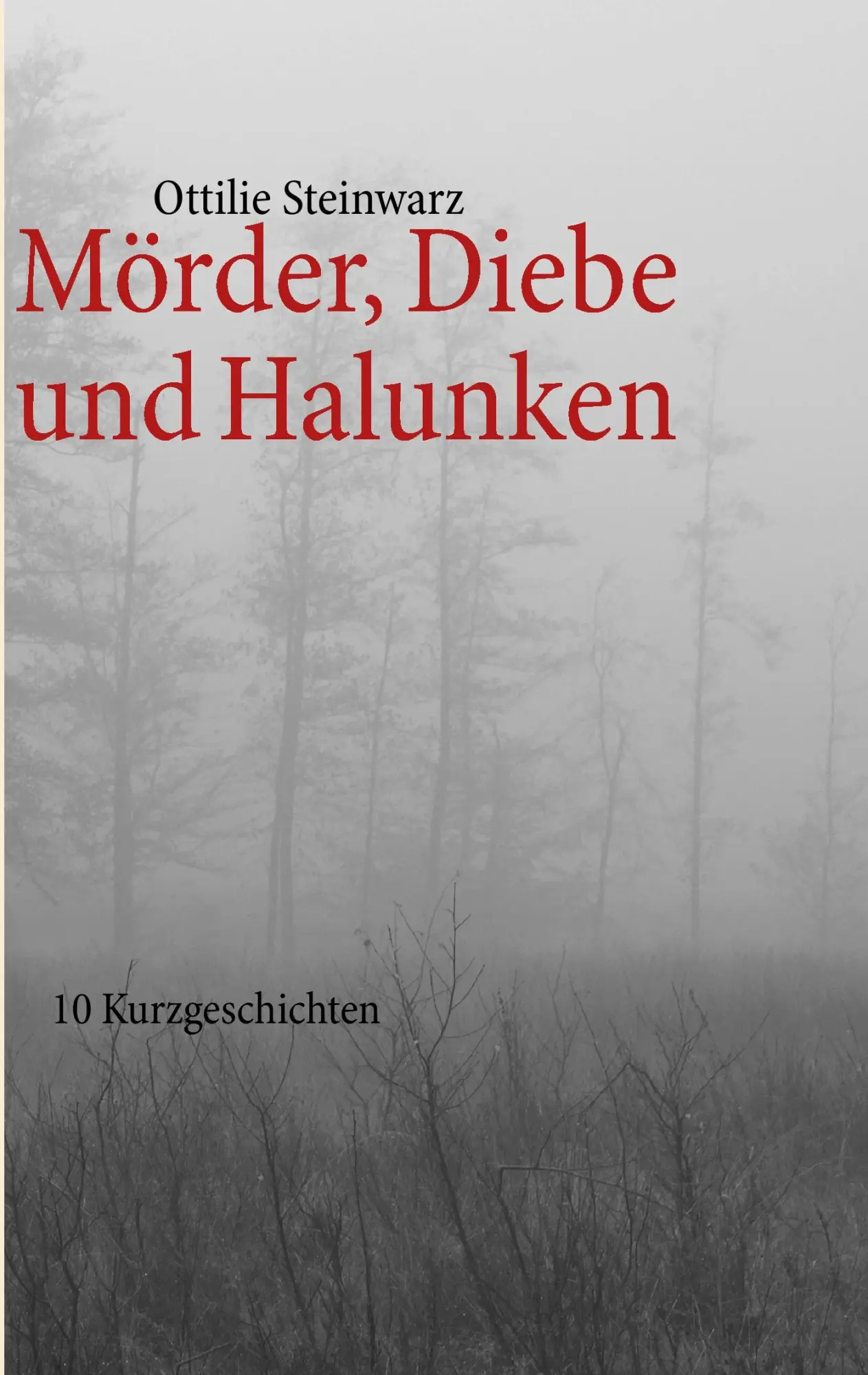 Cover: 9783848251544 | Mörder, Diebe und Halunken | 10 Kurzgeschichten | Ottilie Steinwarz