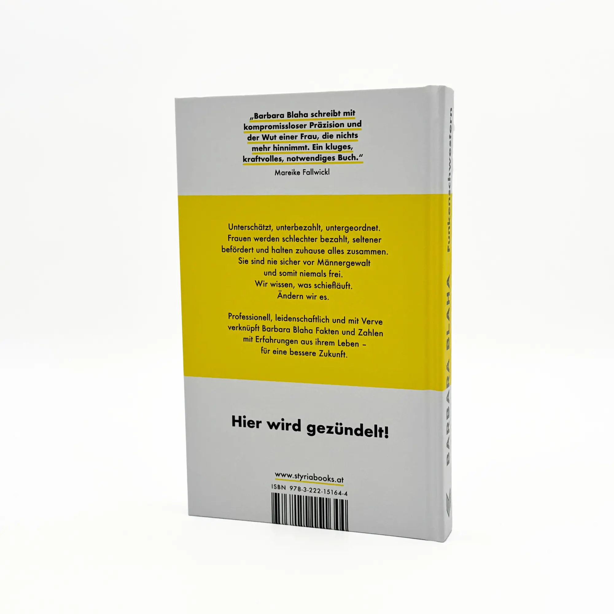 Bild: 9783222151644 | Funkenschwestern | Wie Feminismus alles besser macht | Barbara Blaha