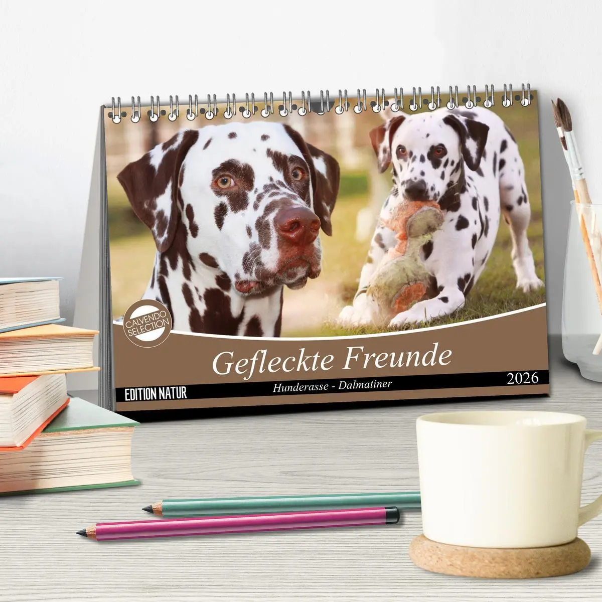 Bild: 9783457881644 | Gefleckte Freunde - Hunderasse Dalmatiner (Tischkalender 2026 DIN...